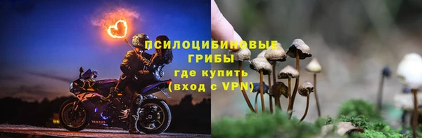 стафф Алексин