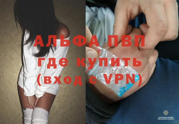 стафф Алексин
