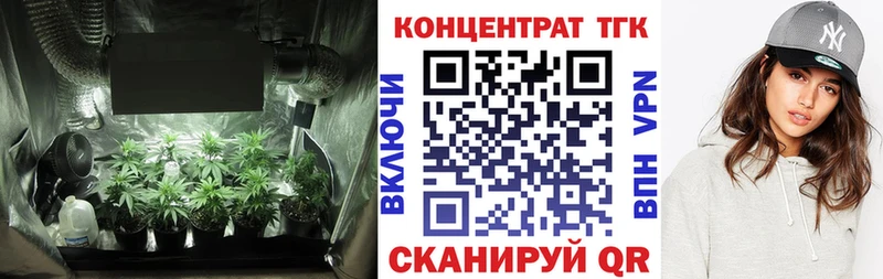 где купить   Хадыженск  Дистиллят ТГК THC oil 